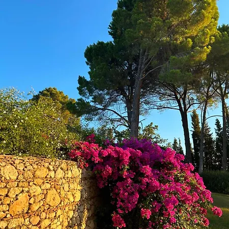 Apartamento Il Palazzo - Il Borgo *